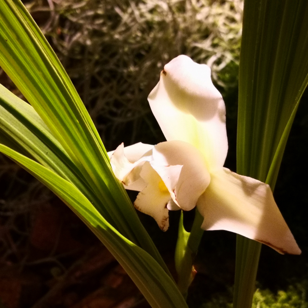 Fontfroide_2022